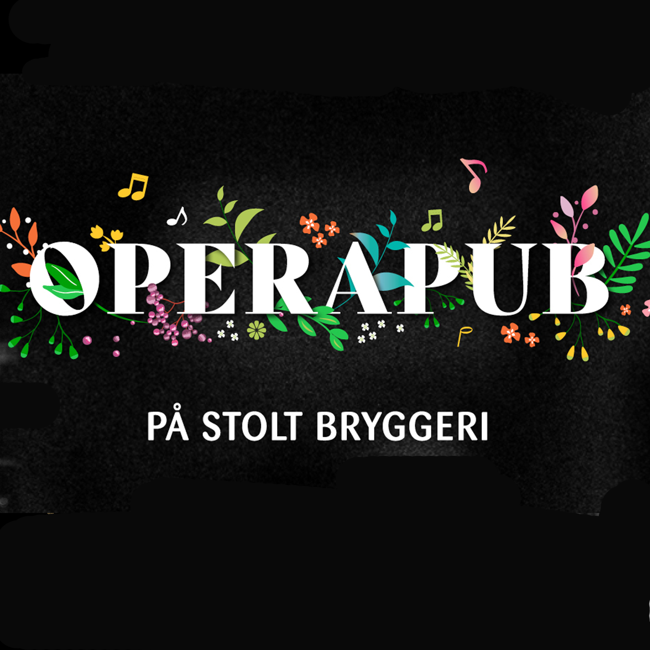 Hoopla-Operapub kopi